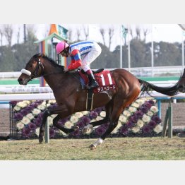 14年は前年に続いて8枠11番が勝利