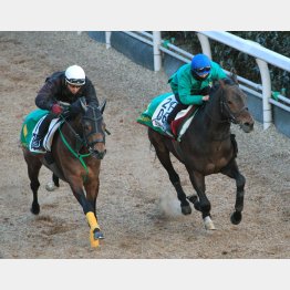 ケイコ駆けする相手(左)に半馬身の先着