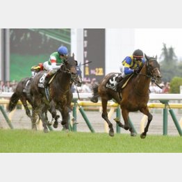 昨年5月に青嵐賞で②着