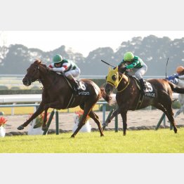 長岡京Sで3連勝