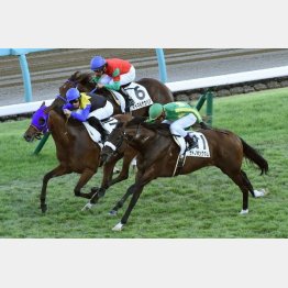 古馬相手に粘って③着