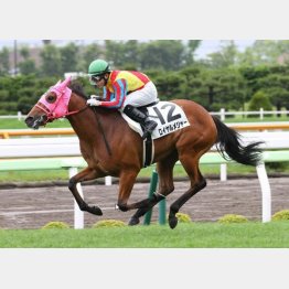函館でデビュー勝ち