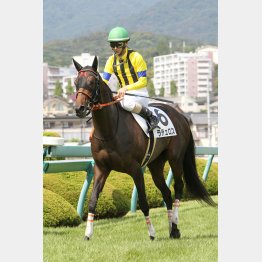 ここで2勝目を挙げる