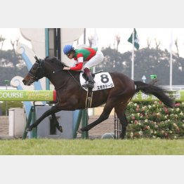 2戦目の未勝利でガラリ一変