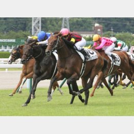 連勝を狙う