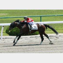 五百万以来の3勝目を