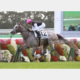 前走は勝ち時計も優秀