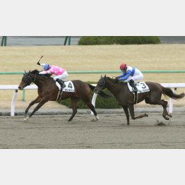 前走は③着には3馬身半差