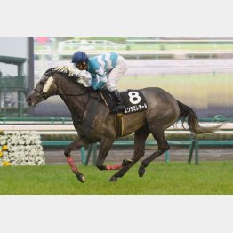 隅田川特別を圧勝