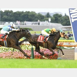府中牝馬SでGⅡ勝ち