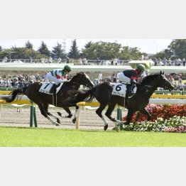 新馬戦を快勝