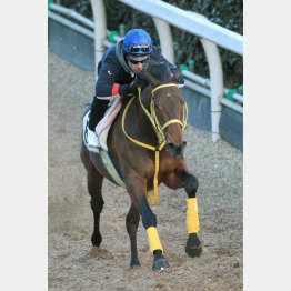 今週の坂路は自己ベストの4F52秒8