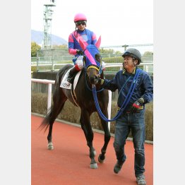 完全復調したメイショウラケーテ