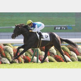 前走は②着に1馬身半差をつけた