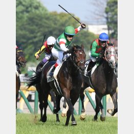 堂々のダービー制覇