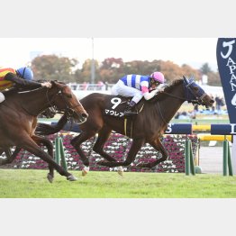 東京マイルの赤松賞の再現だ