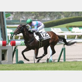 小倉の千二で未勝利勝ち