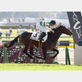 同舞台で未勝利勝ち