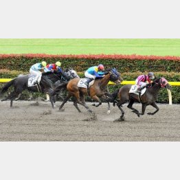 6走前で勝利を飾った戸崎を配した