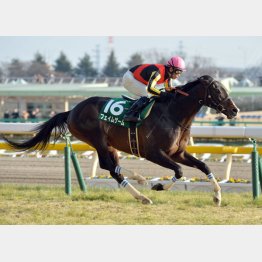 15年は2馬身差の完勝
