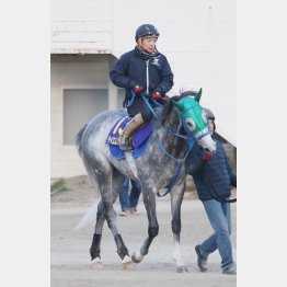 中間も元気いっぱい