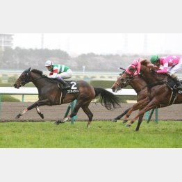 昨年、心斎橋Sを勝った武豊とのコンビが復活
