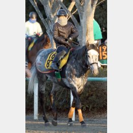 7歳で重賞初制覇だ