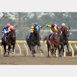 インカンテーションは15年のこのレースで②着