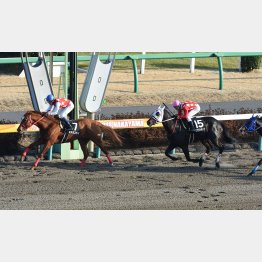 前走は完勝