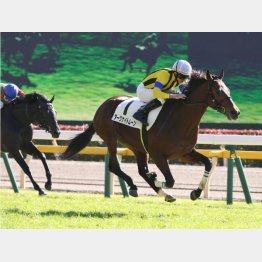 2走前は2馬身半差の完勝