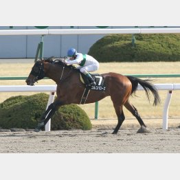 昨年のこのレースの勝ち馬
