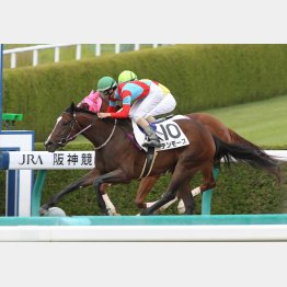 五百万勝ちも休み明けだった