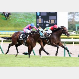 昇級初戦の飯豊特別で連対
