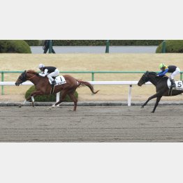 昇級戦の前走も完勝だった
