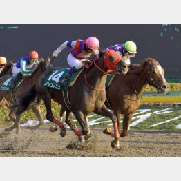 根岸Sで復活のレコードV