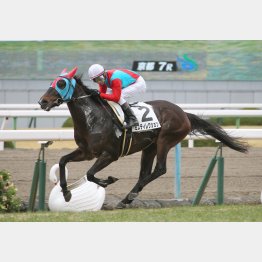 京都千八は五百万を逃げ切った舞台