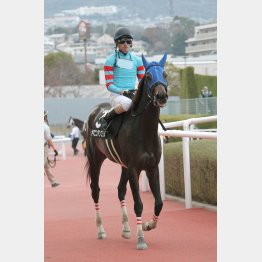 ハンデ52㌔なら強気に勝負
