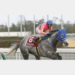 東海Sを完勝