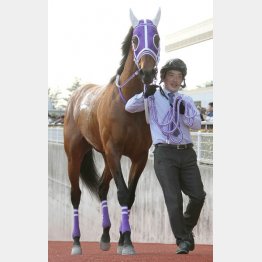 メイショウフェイクは連勝中