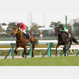 昨年のすみれS馬はクリンチャー