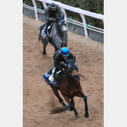 シュウジは1F11秒9で3馬身半先着