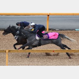 楽々と併入に持ち込んだ