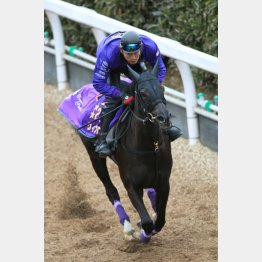 今週は馬なり調整