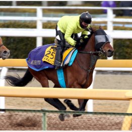 きのうは3馬身の先着を果たした