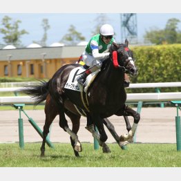 昨年7月以来の2勝目を目指す