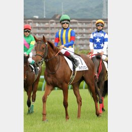立て直し効果にも期待