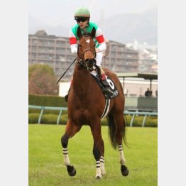 同じコースで五百万勝ち