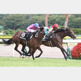 横山典で飯豊特別勝ち
