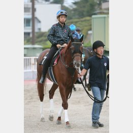 準オープンなら力が違う