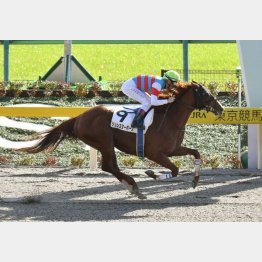 五百万は4馬身差の圧勝